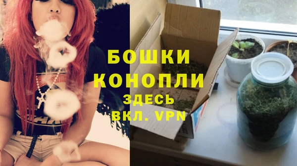 стаф Медвежьегорск